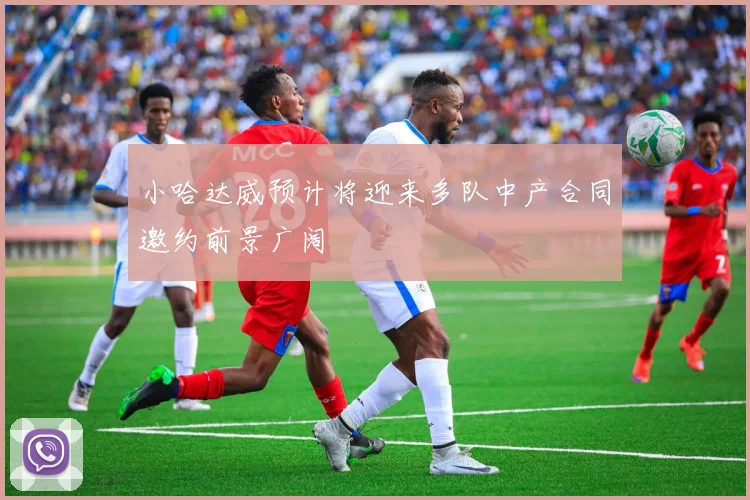 小哈达威预计将迎来多队中产合同邀约前景广阔